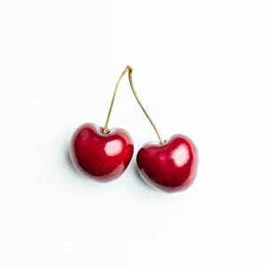 Pair of cherries