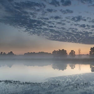 Misty lake at dawn, Klein Schietveld Nature Reserve, Brasschaat, Belgium. July, 2021