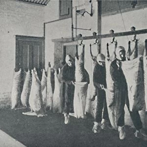 Frozen Meat, 1910