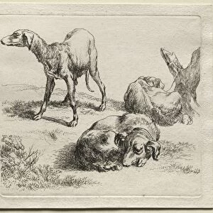 Three Hunting Dogs. Creator: Nicolaes Berchem (Dutch, 1620-1683)