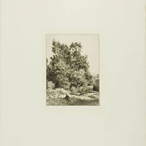 Landscape with Cowherd, c. 1865. Creator: Charles Emile Jacque