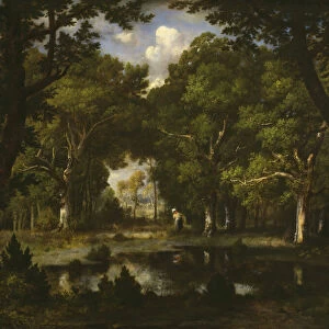 Pond in the Woods, 1862. Creator: Narcisse Virgile Diaz de la Pena