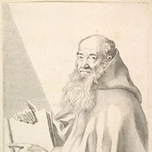 Bearded Capuchin