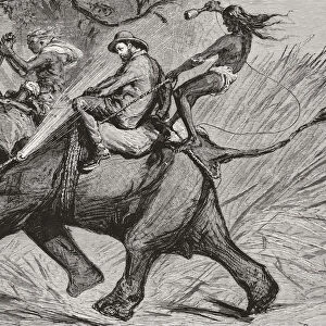 Cartoon Of The Victorian Era Showing Albert Edward Prince Of Wales, Future King Edward Vii, Riding An Elephant And Being Sprayed With Water From Its Trunk. From Edward Vii His Life And Times, Published 1910