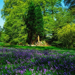 Emo Court, Co Laois, Ireland; Sculpture Amongst Bluebells During Spring