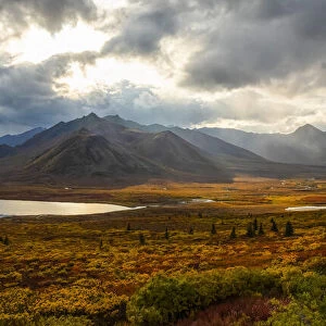 Fall colours ignite the landscape of the Dempster Highway with vibrant colours; Yukon, Canada