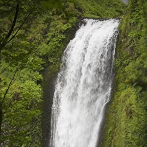 Lower Section Of Multnomah Falls; Oregon, United States of America