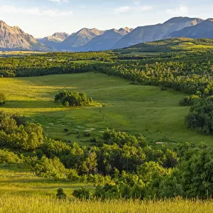 Lush green landscape with Rocky Mountains, Waterton Lake National Park, Alberta, Canada
