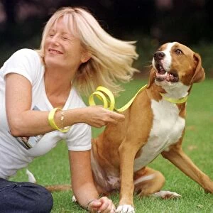 Gabby Roslin TV Presenter with a stray dog, August 1999 Timmy a boxer cross
