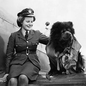 World war II Women: Meet W. A. A. F. Dixie Ford and the R. A. F. mascot "Kupee