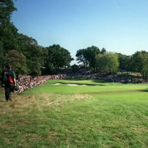 The 10th Green