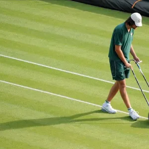 Court Line Painting Court Line Painting