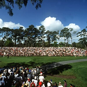 Crowds Around Tiger Woods On