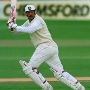 Prints of : Cricket