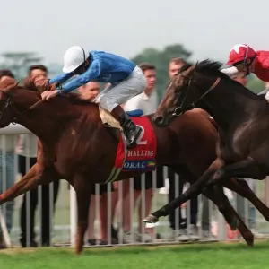 Halling (Swinburn) Wins Coral Halling (Swinburn) Wins Coral