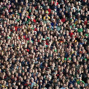 Irish Fans At Lansdowne Road