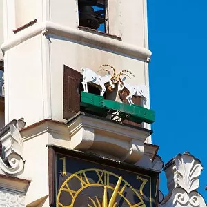 The goats-symbol of Poznan