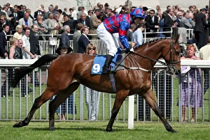 Darley Prints: Artie