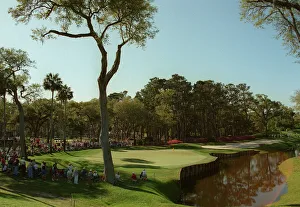 13th Prints: 13th Hole At Sawgrass