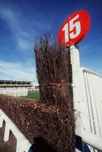 1999 Prints: 15 Fence Cheltenham