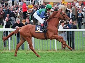 Racehorse Prints: Iamus