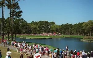 17th Prints: 17th Hole At Sawgrass