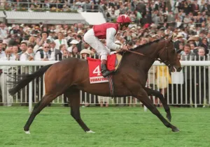 Dettori Prints: Swain