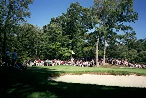 Brookline Prints: The 3rd Green