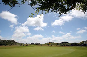 5th Green