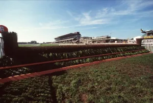 1999 Prints: 6 Fence Cheltenham