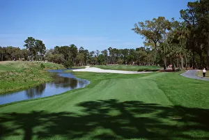 7th Hole, Sawgrass