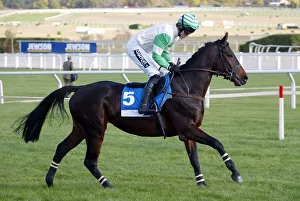 Races Prints: Acamani