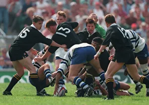 Bath Prints: Action Between Bath & Wasps