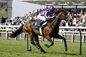 Adagio Prints: Adagio Ridden By Kerrin Mcevoy Wins
