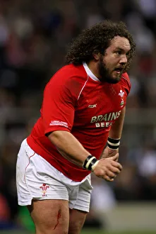 Ospreys Prints: Adam Jones