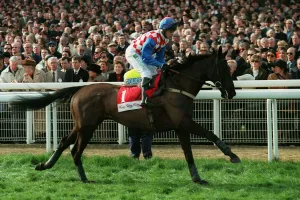Maguire Prints: Addington Boy