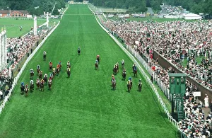 Aerial View Britannia Stakes