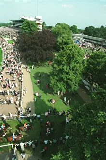 View Prints: Aerial View Royal Ascot