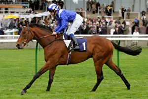 Newmarket Prints: Alhaajes