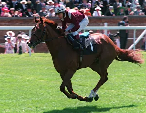 Racehorse Prints: Alhijaz (W Carson)