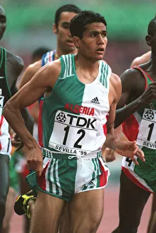 Ali Saidi Sief