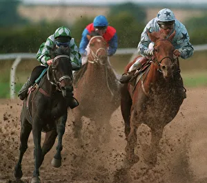 All Weather Racing (Southwell)