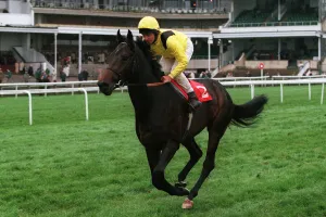 Eddery Prints: Almandab