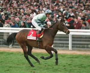 Racehorse Prints: Amancio