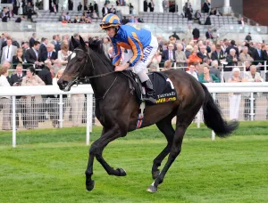 Dante Prints: Amazing Beauty Ridden By Ryan Moore