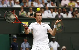 Andy Murray
