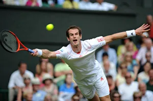 Andy Murray Prints: Andy Murray