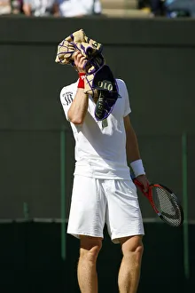 Andy Murray Prints: Andy Murray
