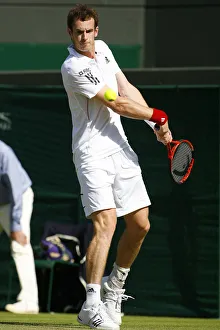 Andy Murray Prints: Andy Murray