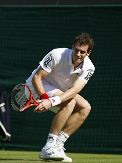 Andy Murray Prints: Andy Murray
